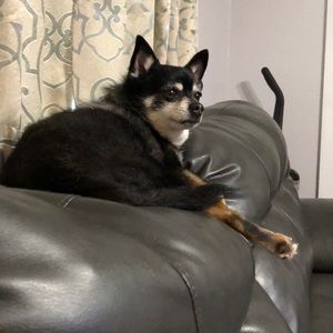 Meet your Posher, Kelly